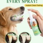 pet oral spray