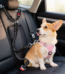 dog car seat belt